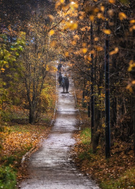 Призраки уходящей осени фото превью