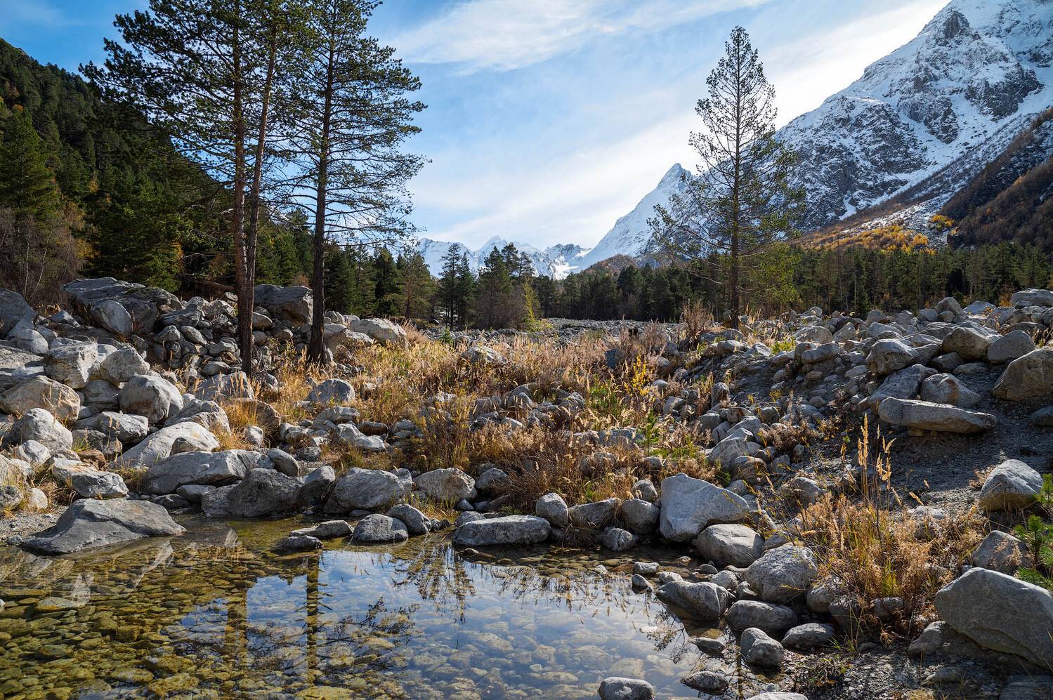 , Шевченко Юрий