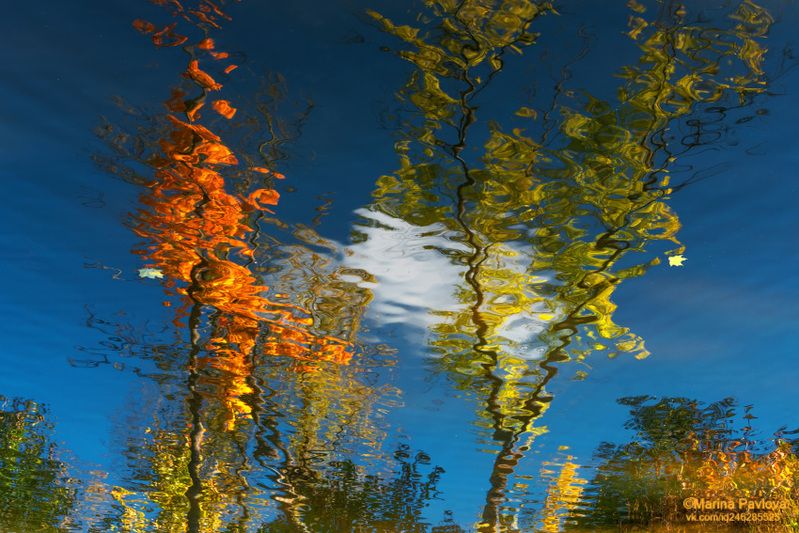 абстракция, акваабстракция, акваграфика, отражение на воде, осенние отражения, шапельный пруд, александровский парк, город пушкин Сердитое осеннее облако... фото превью