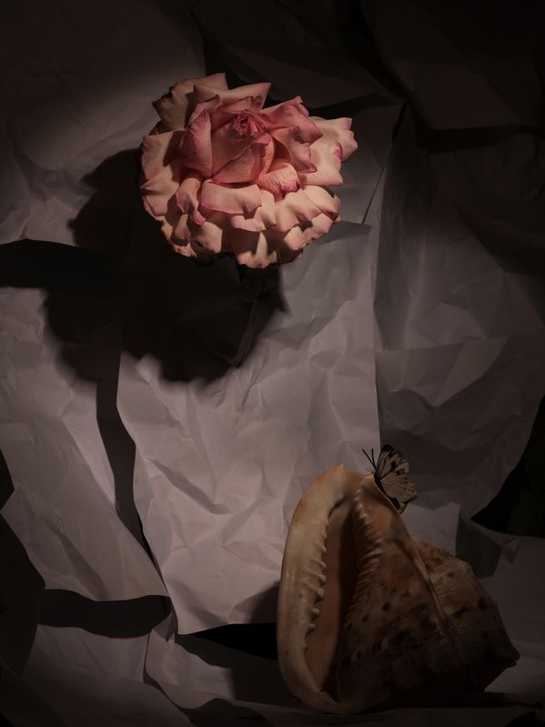 Бумага  фото превью