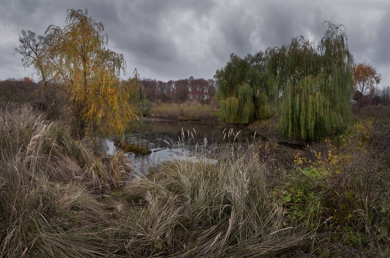 пруд, день, октябрь, природа, тульская обл., Баранов Олег