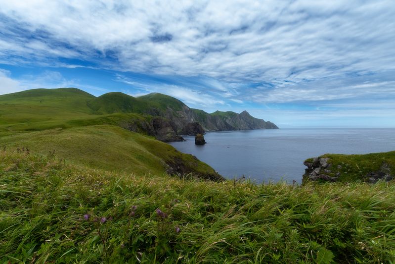 В объятьях тишины. фото превью