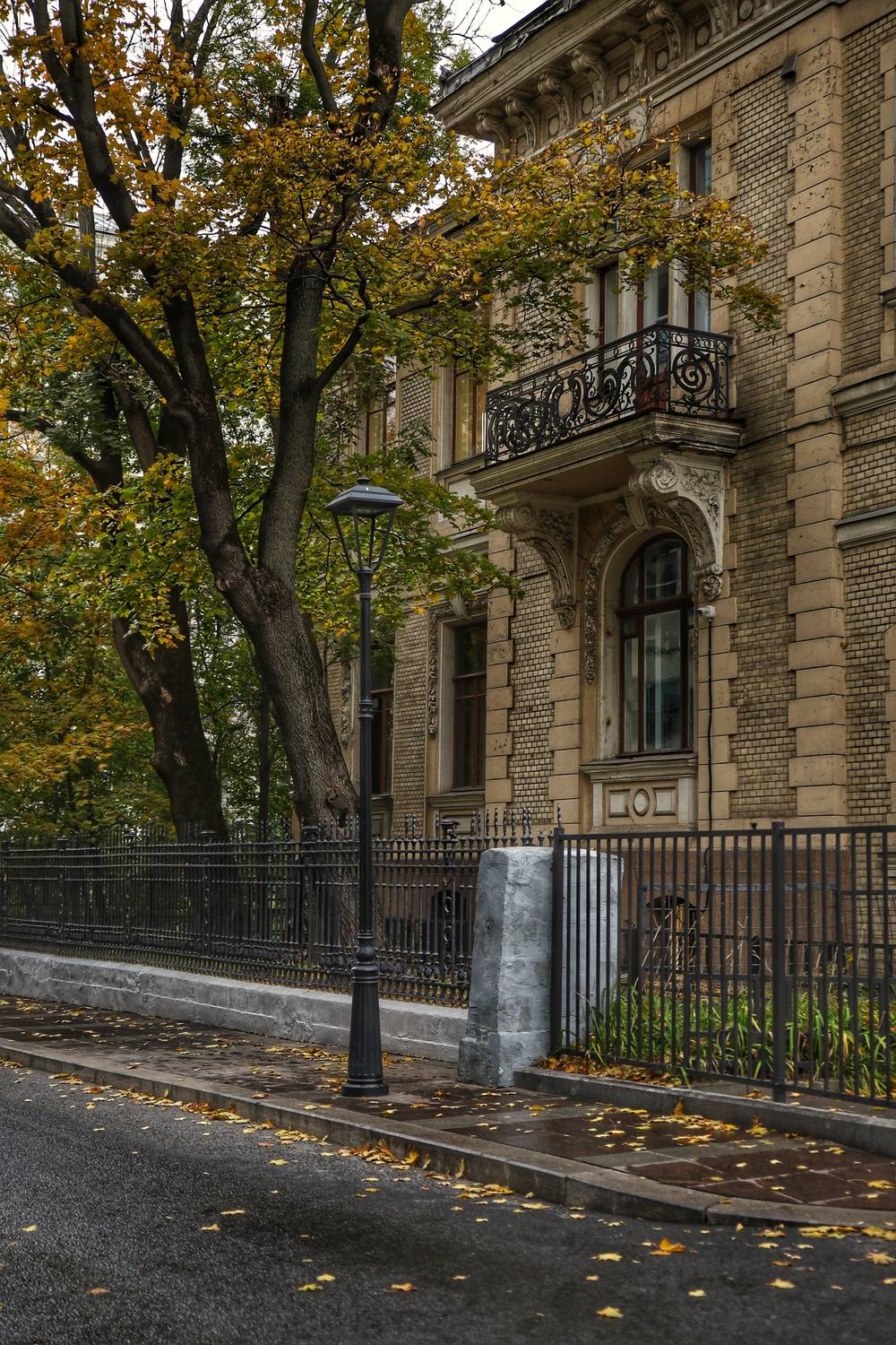 , Angelica Medvedeva