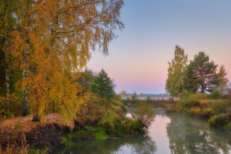 Мягким золотом ... фото превью