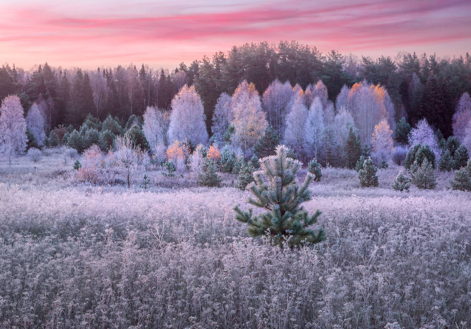 Фототуры с Владимиром Рябковым, #topnature #russpasibo #magic_shots #lovelyRussia #sunset_vision #exclusive_sky  #exclusive_shots #loves_russia2 #photoarena_nature #nature_sultans #nature_perfection #rsa_sky #rsa_sunset #photorussia #rsa_naturepics #sunse, Владимир Рябков