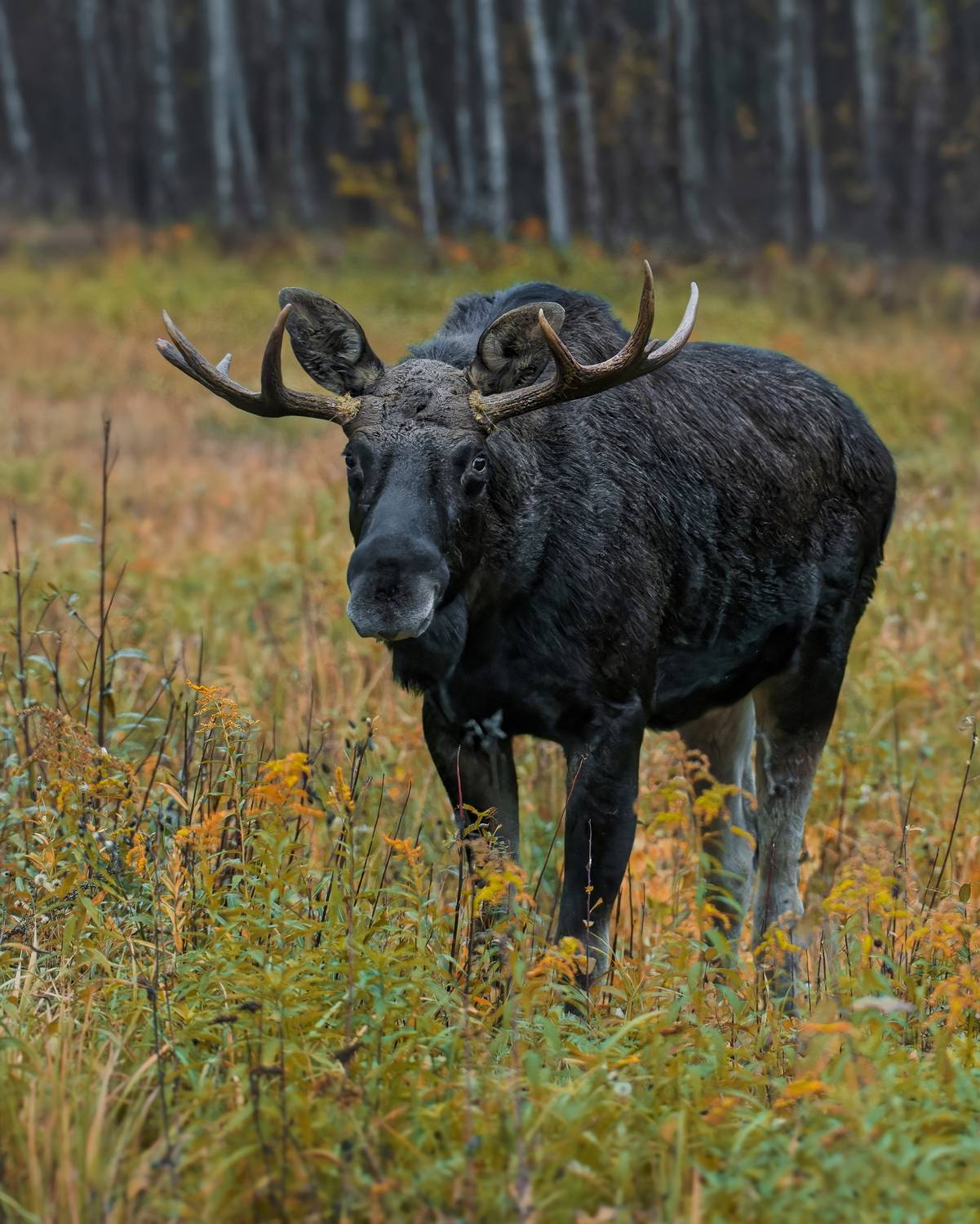 , Фото Александр