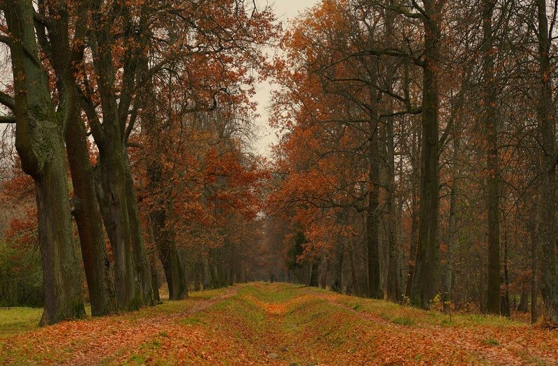 October фото превью