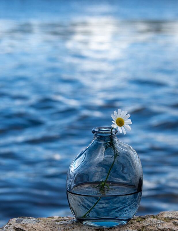 Хрупкость фото превью