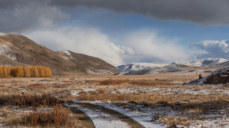 Когда осень повстречала зиму. Алтай 2024. фото превью