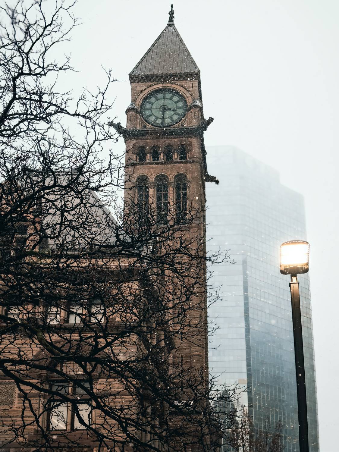 #Sky #Building #Window #Skyscraper #Tower #Plant #Tree #Clock #Street light #City, Shpek Andrey