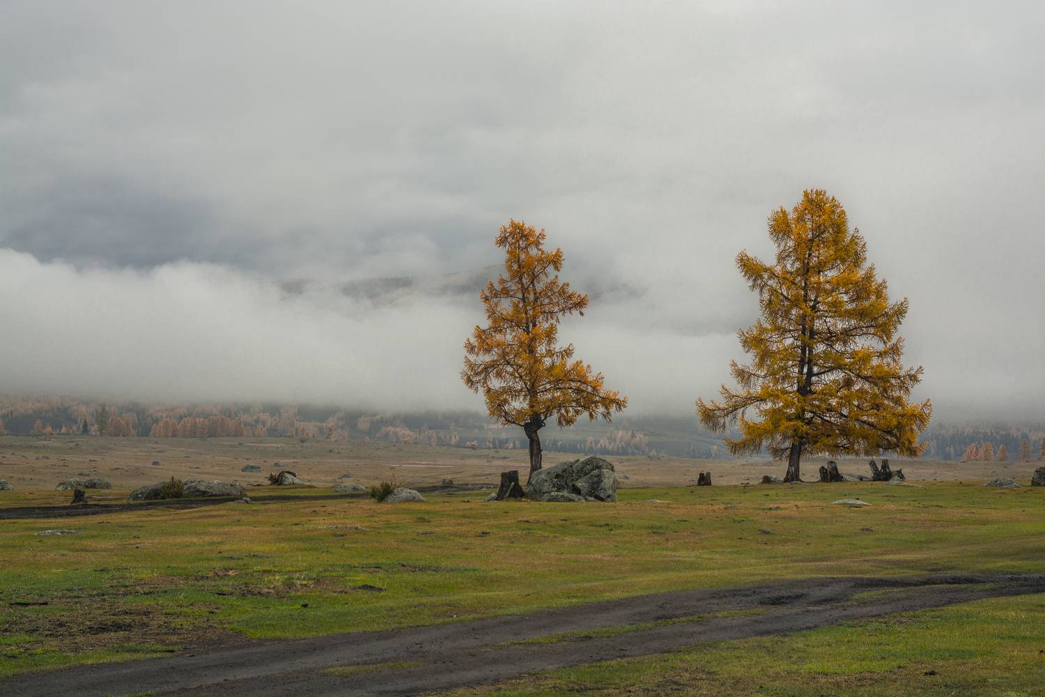 россия, горный алтай, утро, туман, осень, Андрей Поляков
