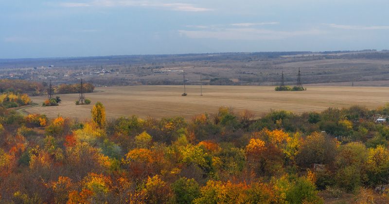 Осенняя палитра. фото превью