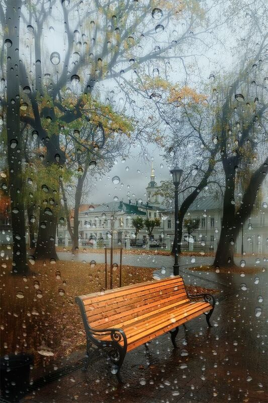 осень, город, дождь, парк Унылая пора... фото превью