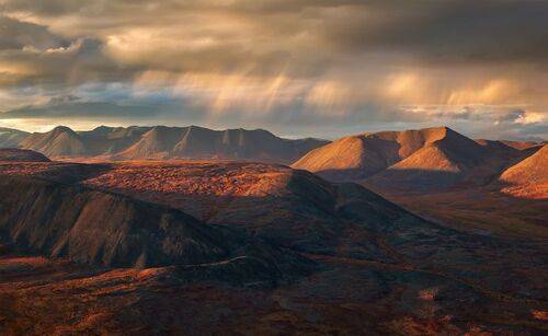 Золотой вечер...