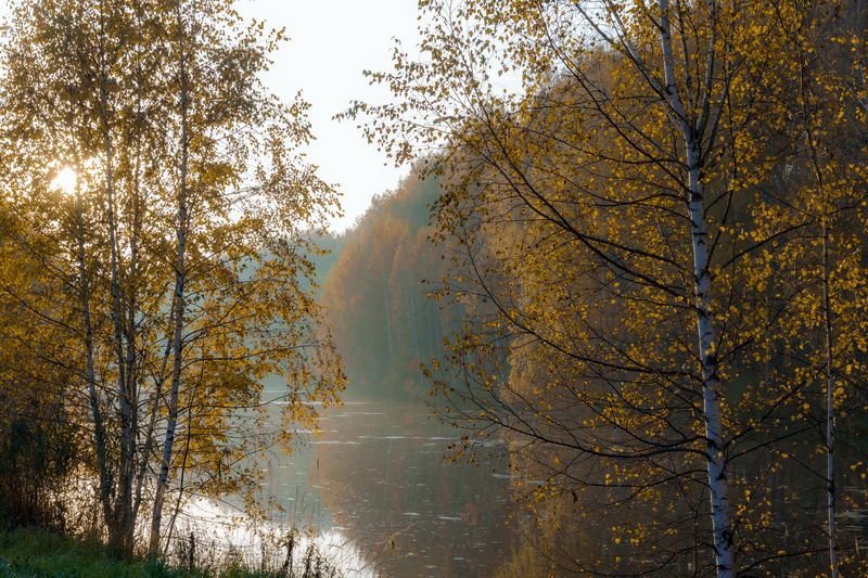 Под лучами осеннего солнца фото превью