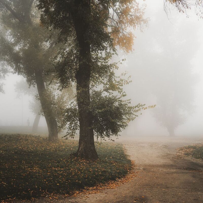 туман, утро, осень, парк, деревья, туманное утро, пейзаж, тишина, туман в парке, листья, природа, атмосфера, дорога, человек в тумане, мягкий свет, утренний туман, настроение, осенний пейзаж, покой, одиночество, мист, fog, morning, autumn, mood, nature, c Туманное утро фото превью