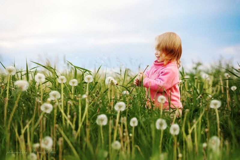 «Счастье нельзя купить. Но его можно родить!» (Элеонора Рузвельт) фото превью