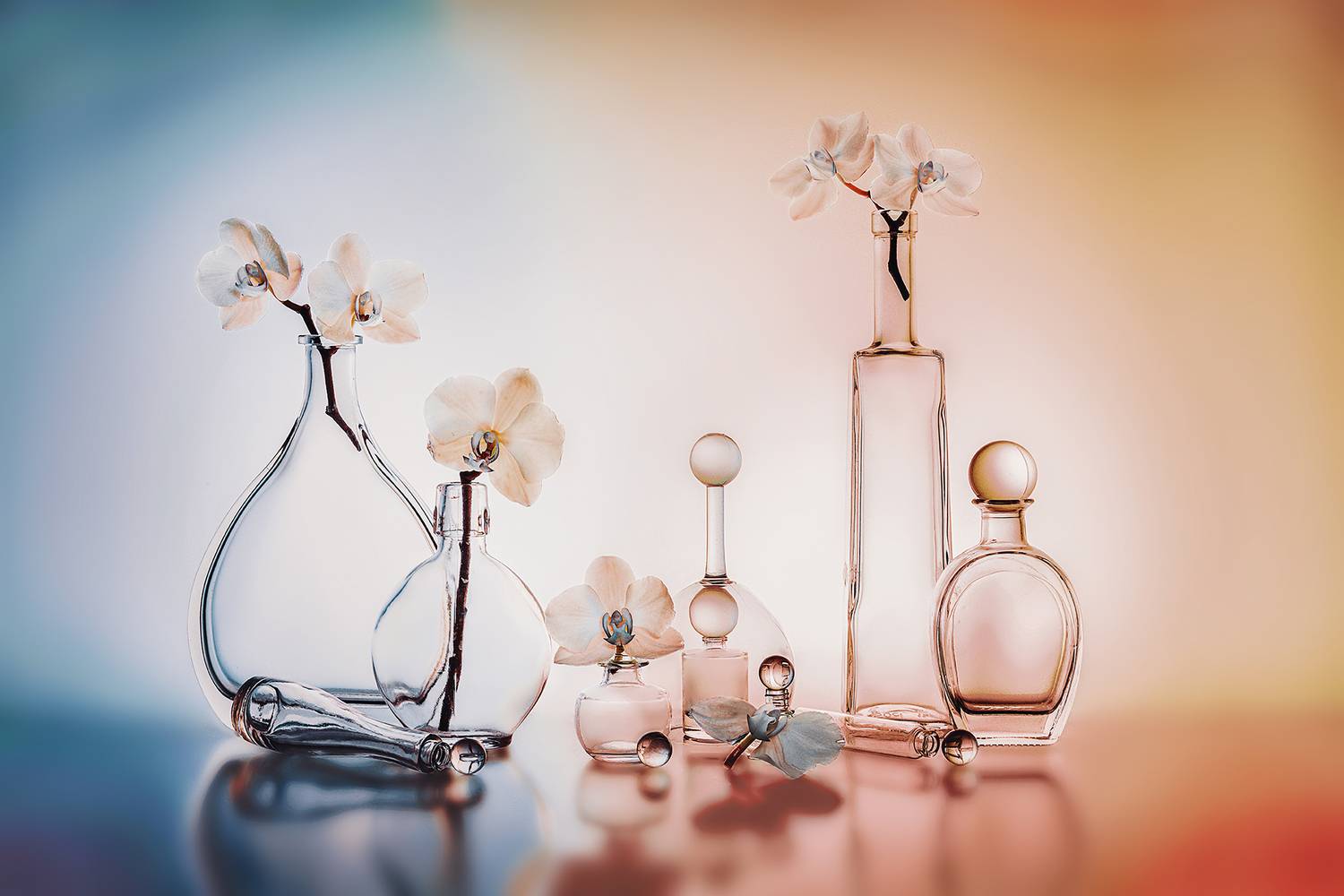 , MVO (Марк Орлов)