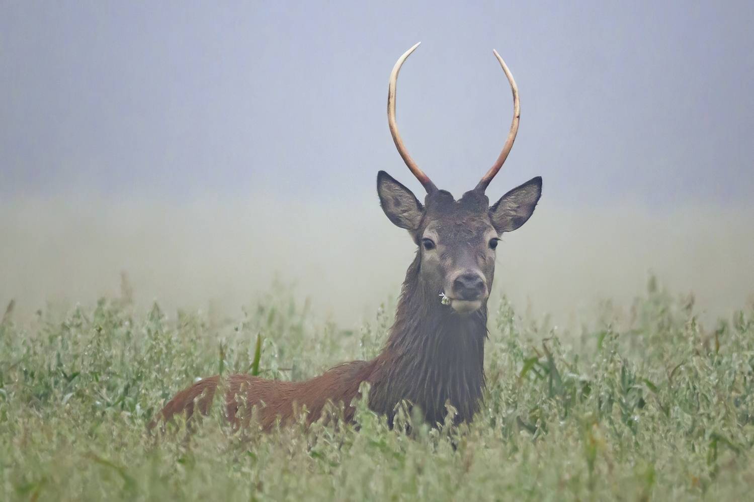 , Пупонин Сергей