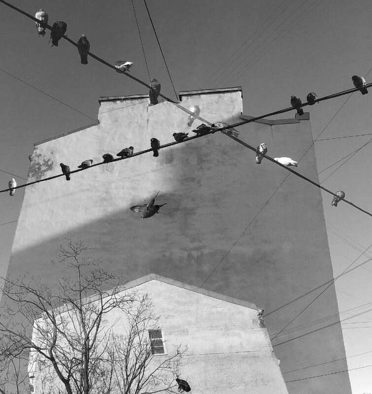 .  фото превью