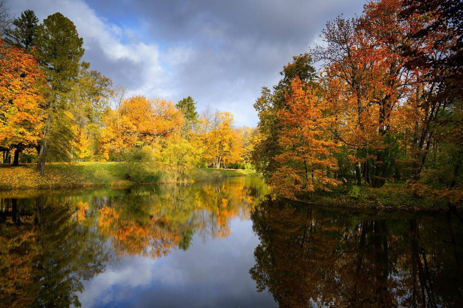 , Дьяченко Алёна