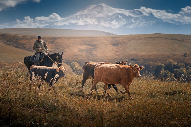 эльбрус, горы, кавказ, кчр  фото превью