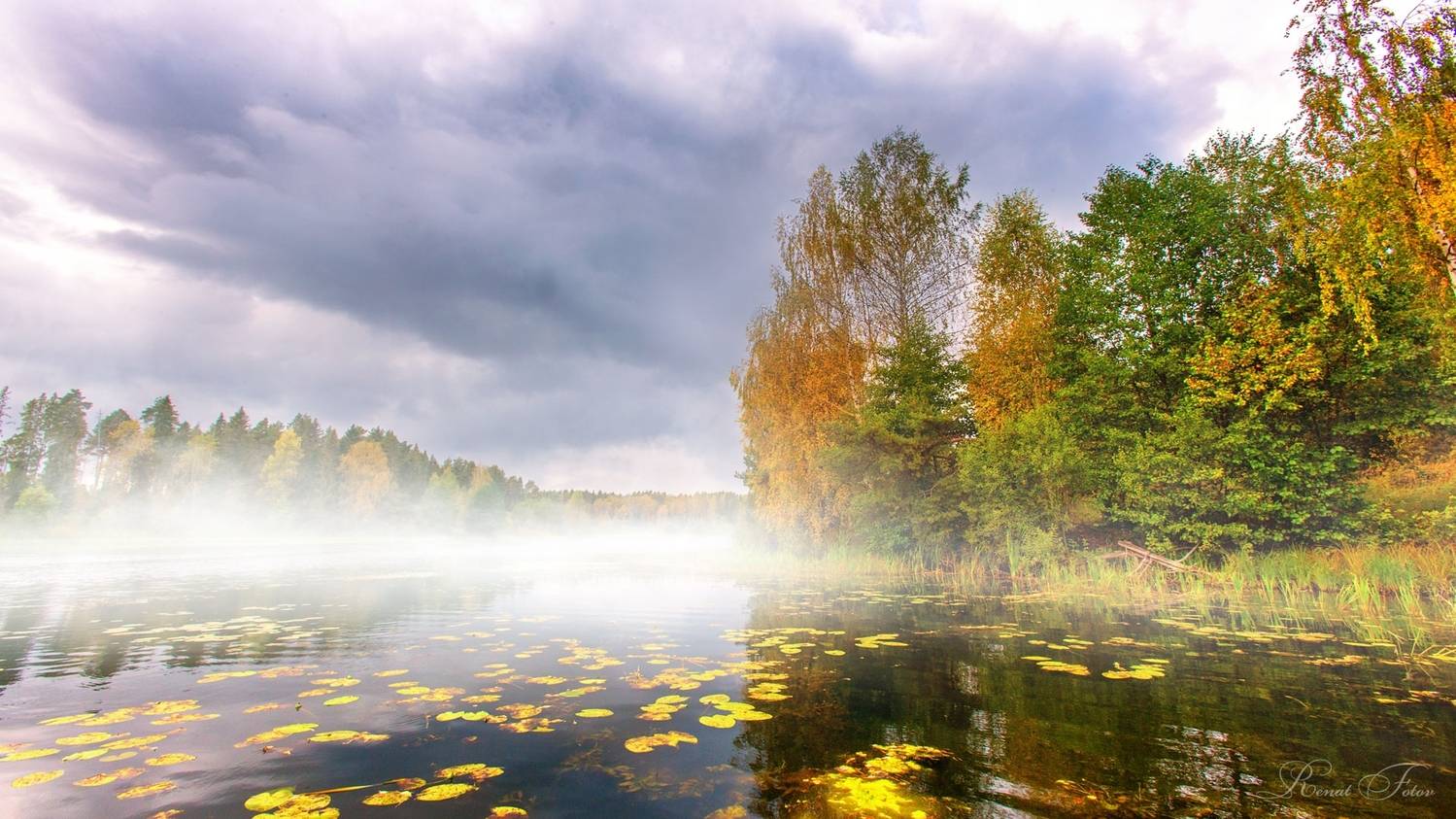 , Фотов Ренат