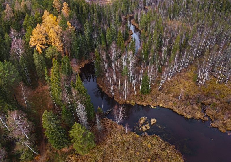 Поздняя осень фото превью
