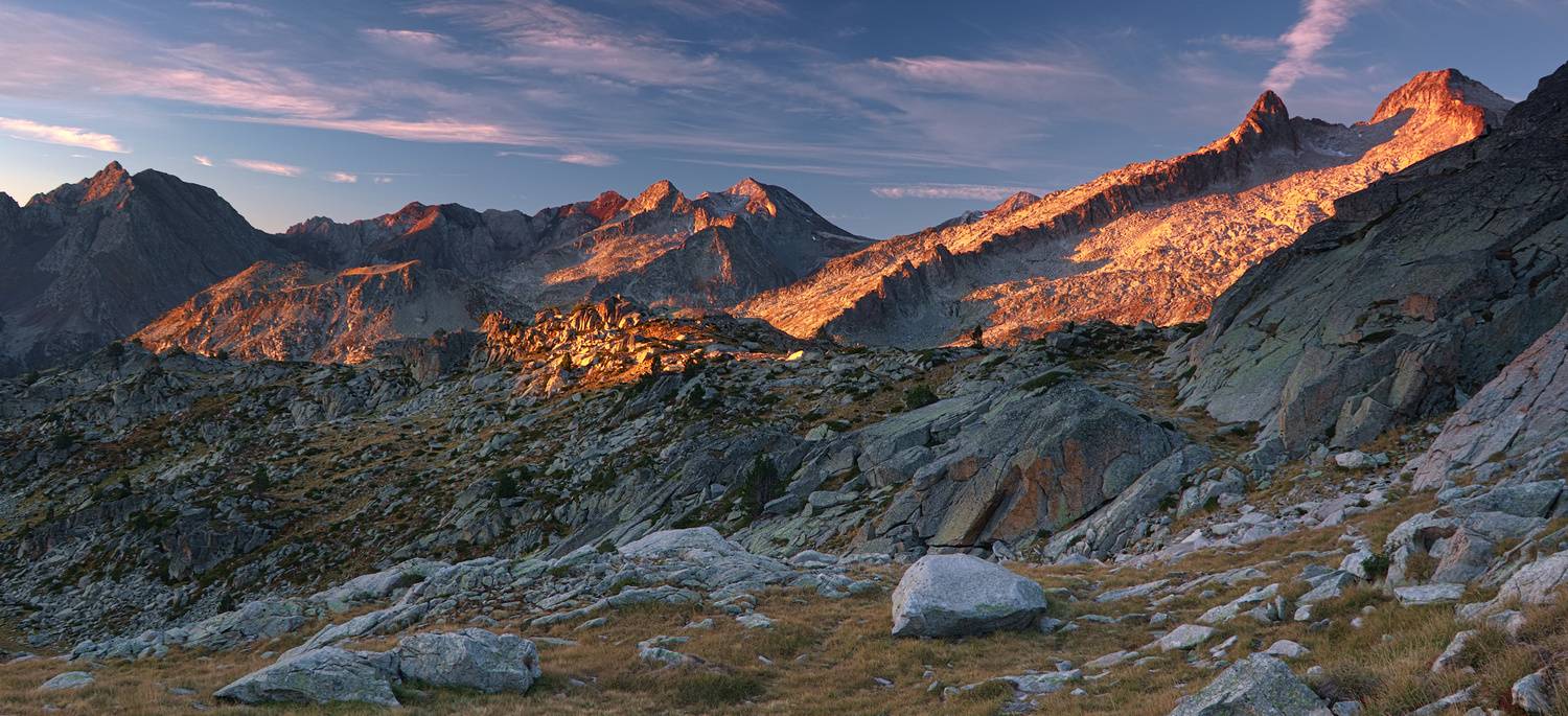 , Wojciech Tarnowski