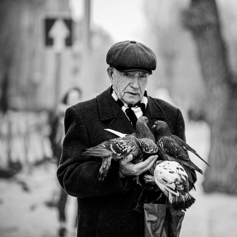 фото превью