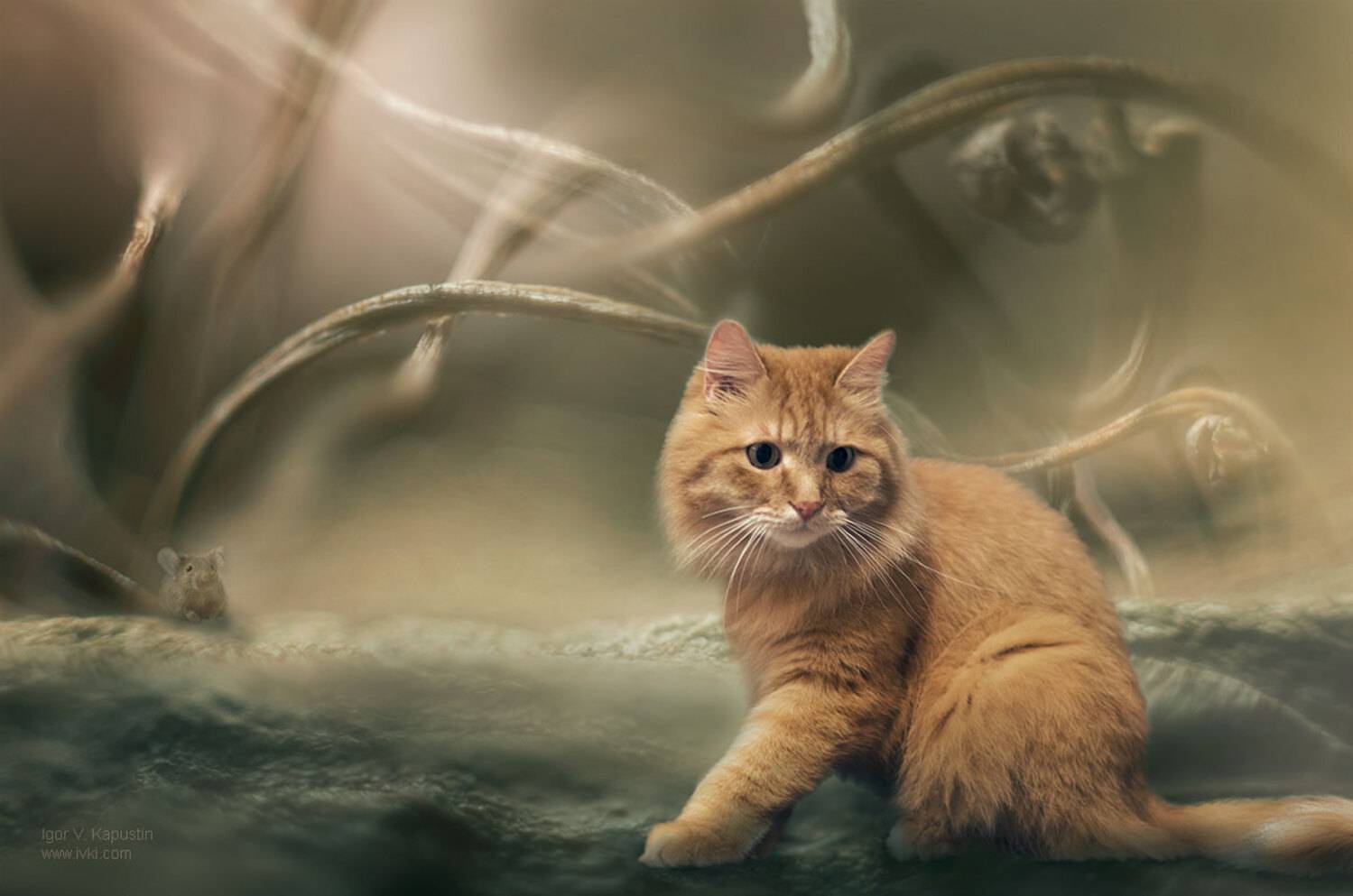 , Капустин Игорь