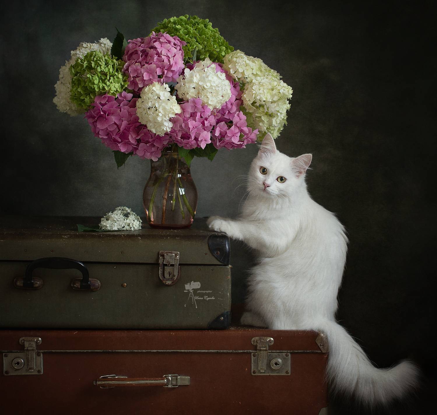 , Инна Сухова