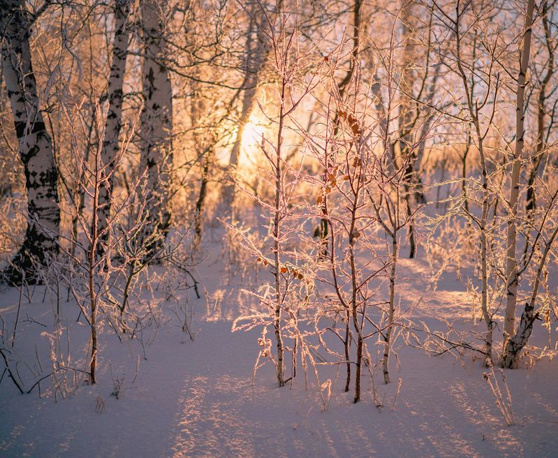 не забывай тот теплый вечер.. фото превью