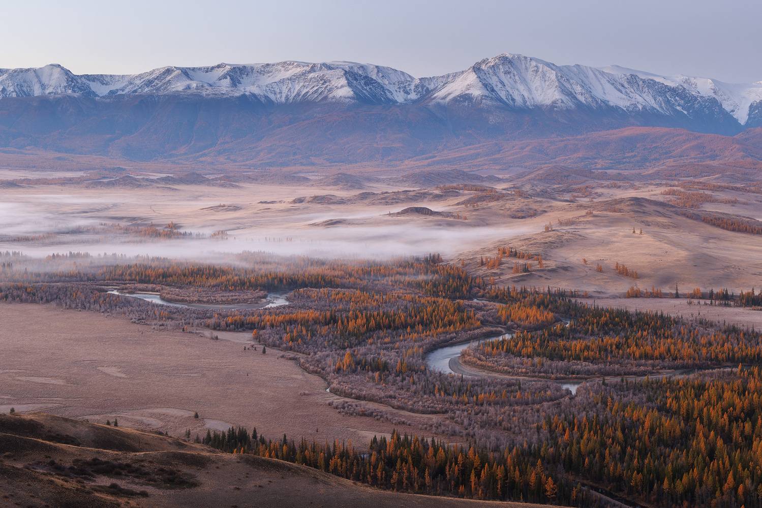 алтай, горный алтай, курай, курайская степь, горы, рассвет, туман, степь, Морозов Сергей