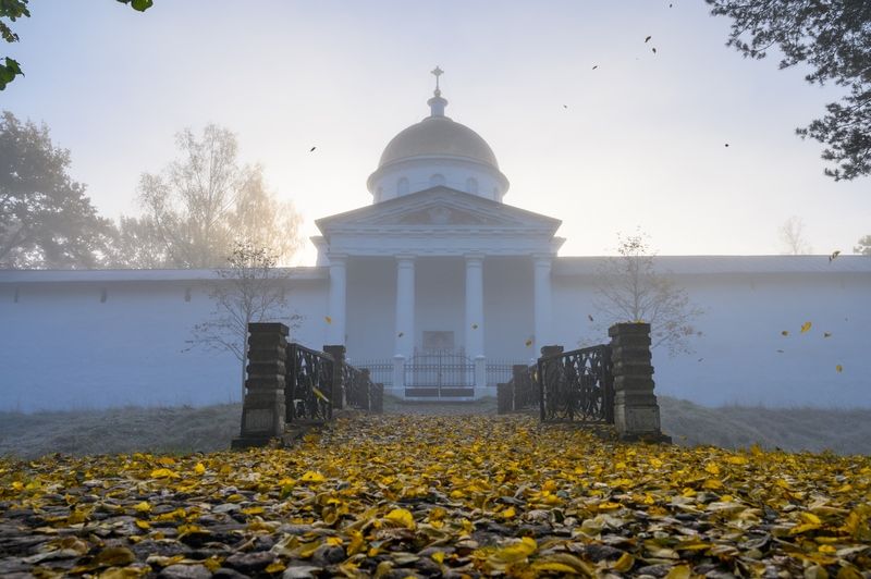 псков, пейзаж, Утро у стен монастыря. фото превью