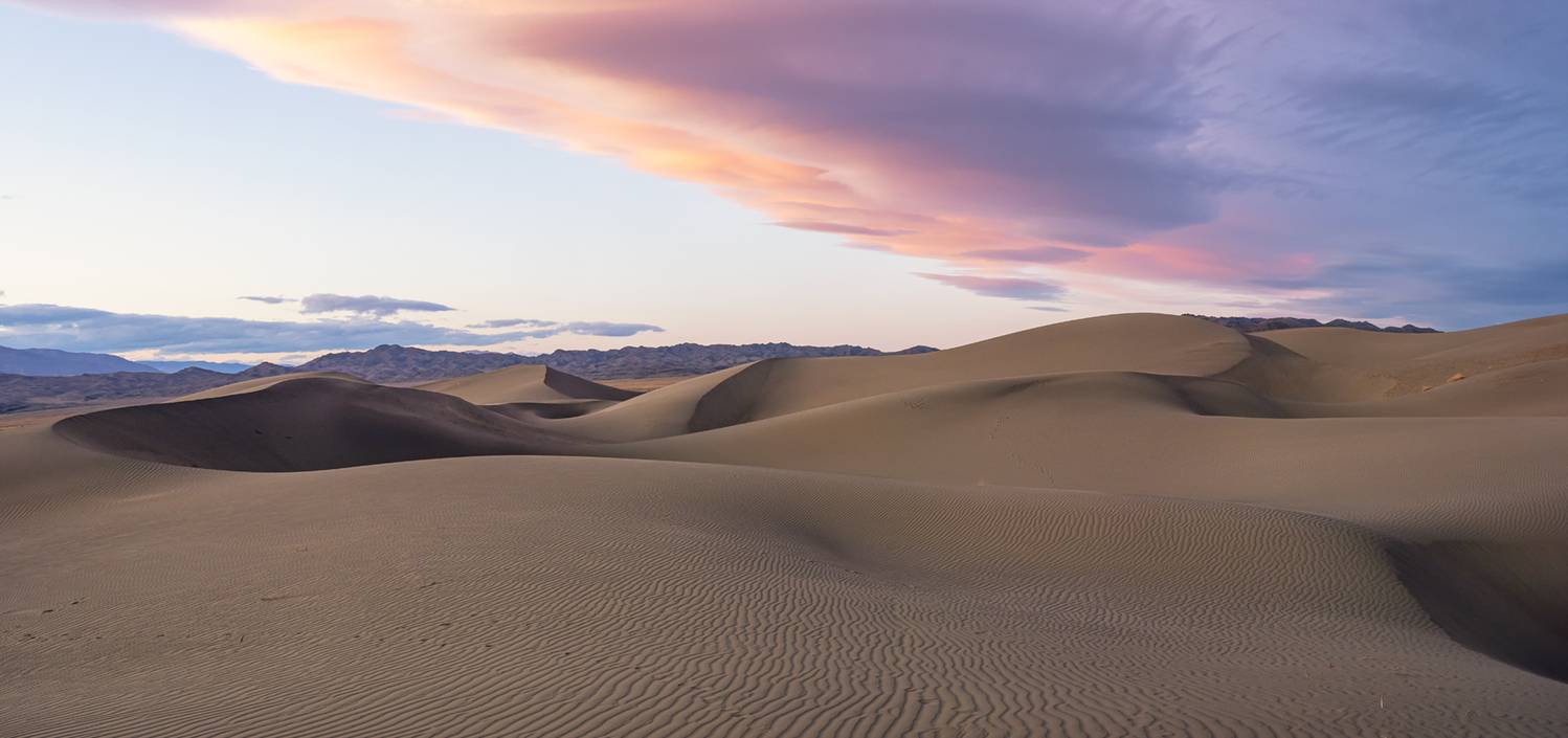 , Лещёнок Александр