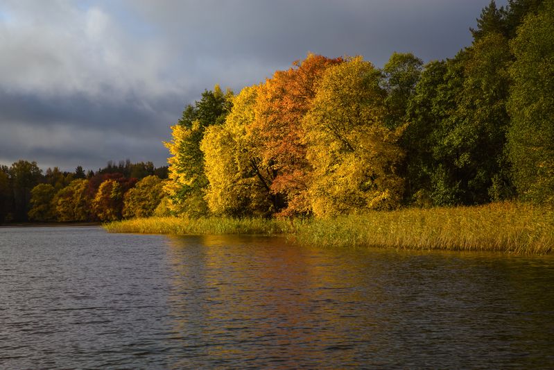 озеро, вода, отражение, тучи, облака, пейзаж, вечер Осенние краски фото превью