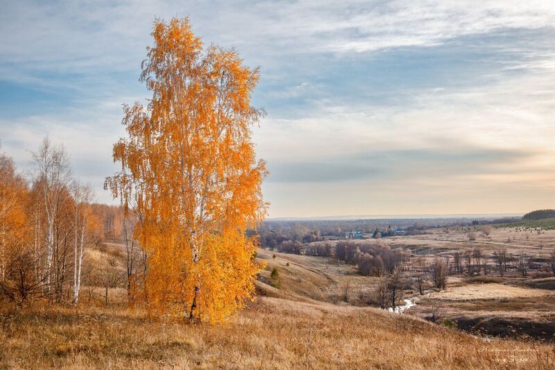 «Увяданья золотом охваченный» фото превью