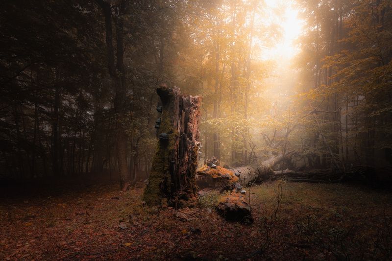 After the storm, fog again фото превью