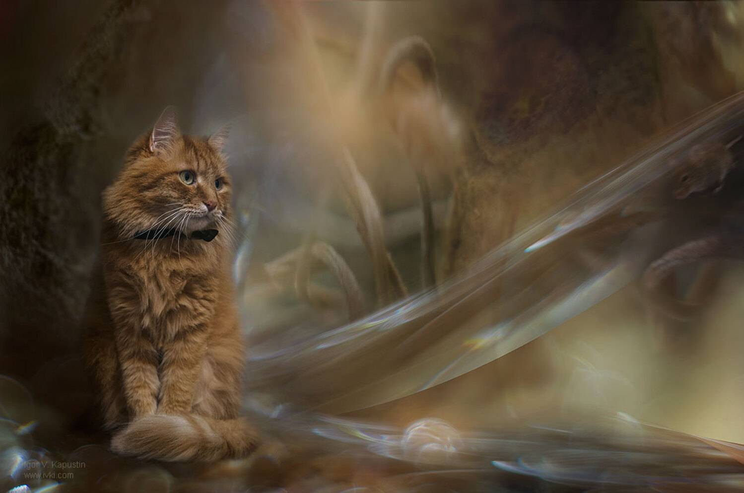 , Капустин Игорь