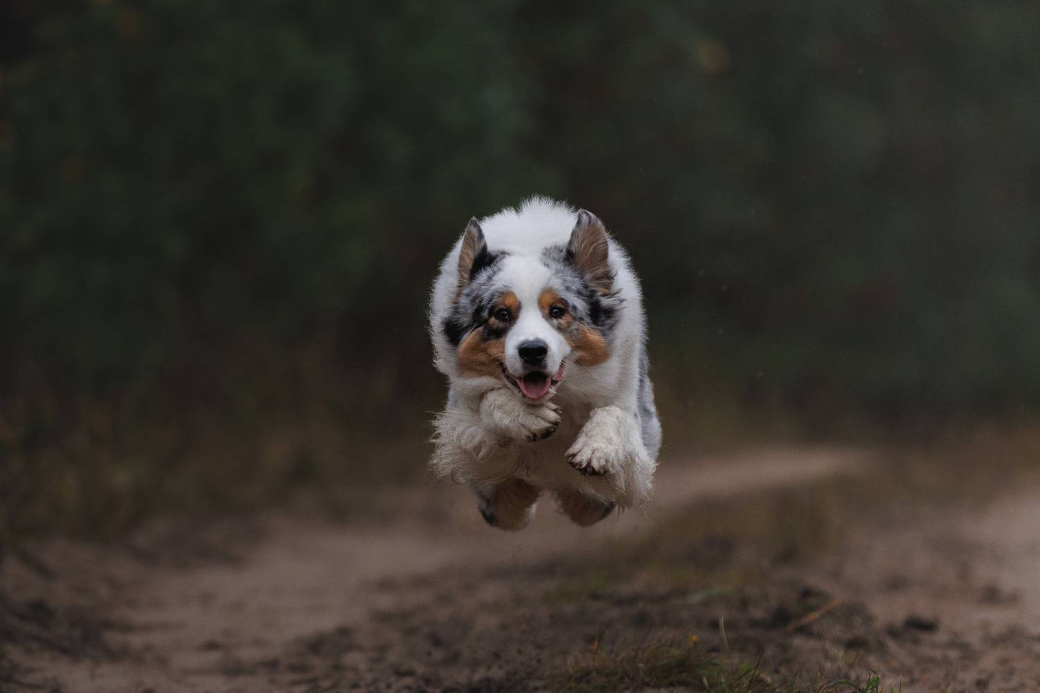 , Шерскова Мария