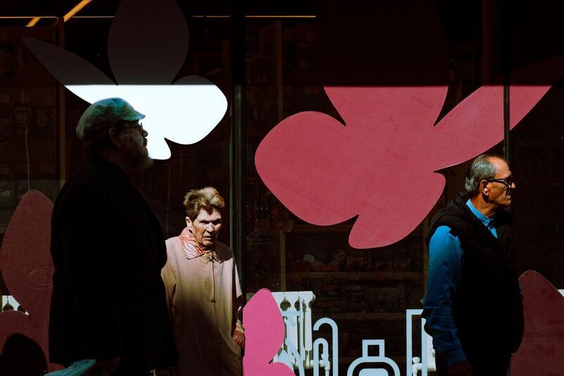 Чуть пожухшие цветы жизни фото превью