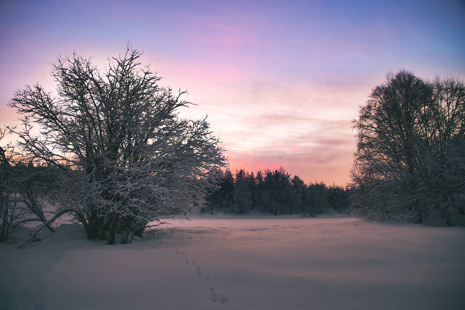 ковдор, мурманская область, фотограф покровский алексей, закат на реке нота, Покровский Алексей