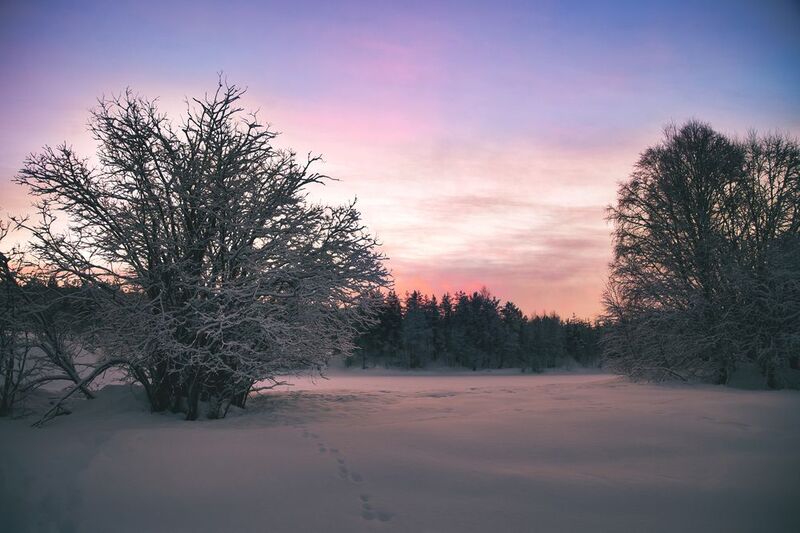 ковдор, мурманская область, фотограф покровский алексей, закат на реке нота Закат на реке Нота в -30 фото превью