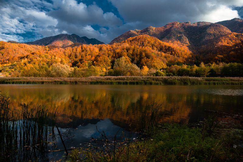 *** фото превью