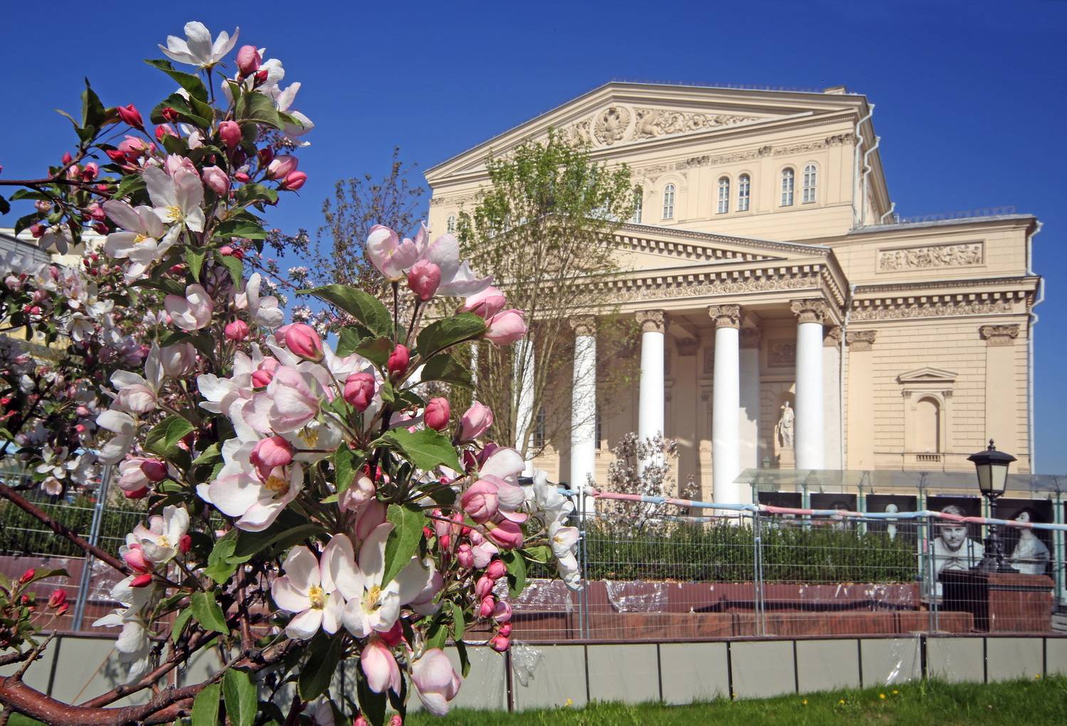 , Бибичков Михаил