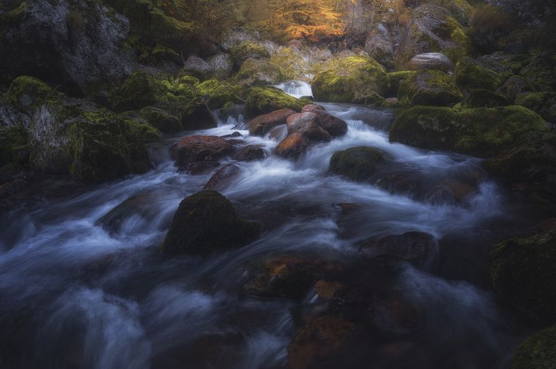 Where the River Dreams фото превью