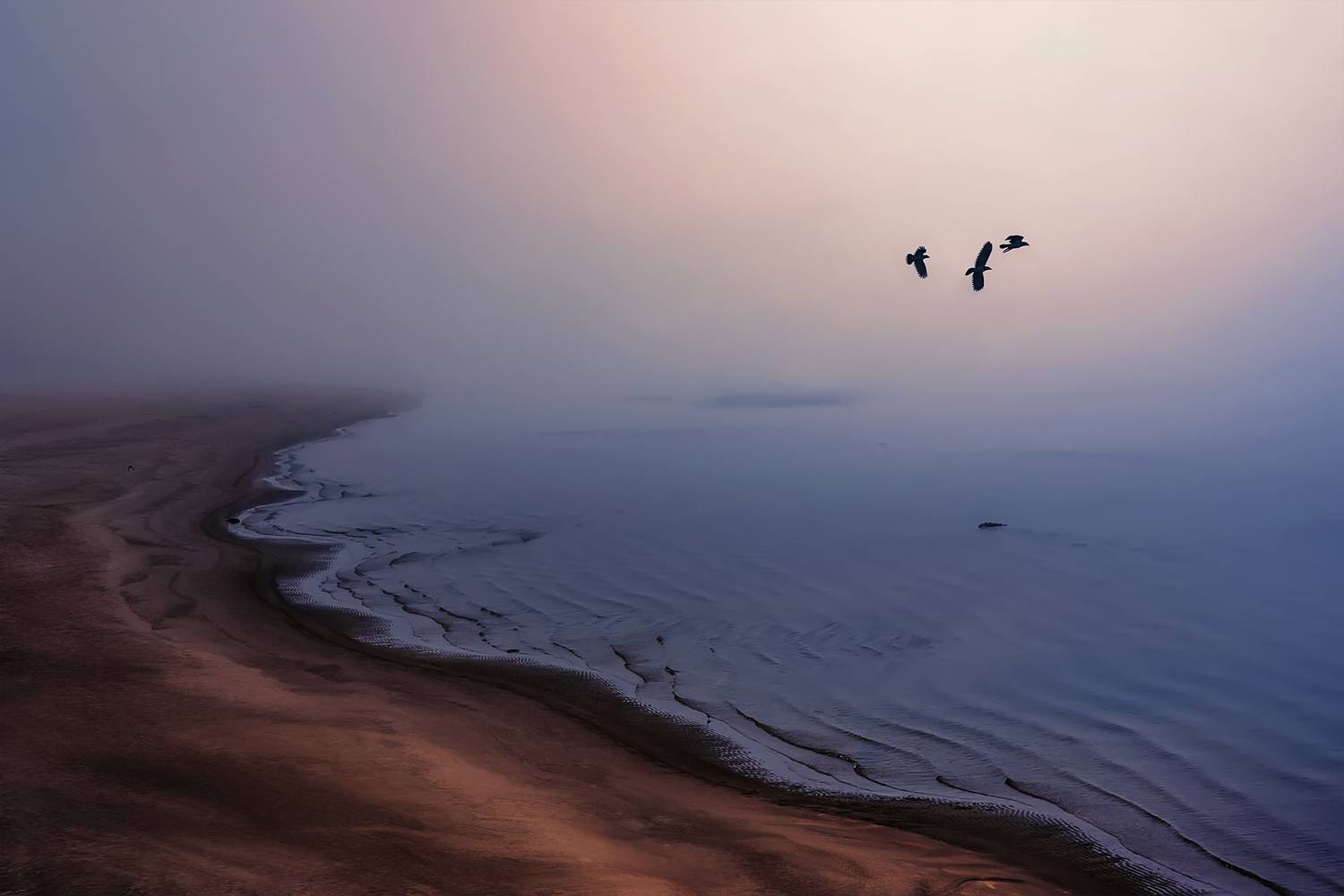 осень, туман, берег, кромка, река, волны, птицы, Вера Ра