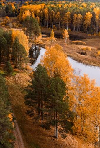 И тропинка, и лесок...