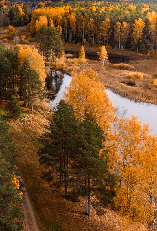 валдай И тропинка, и лесок... фото превью